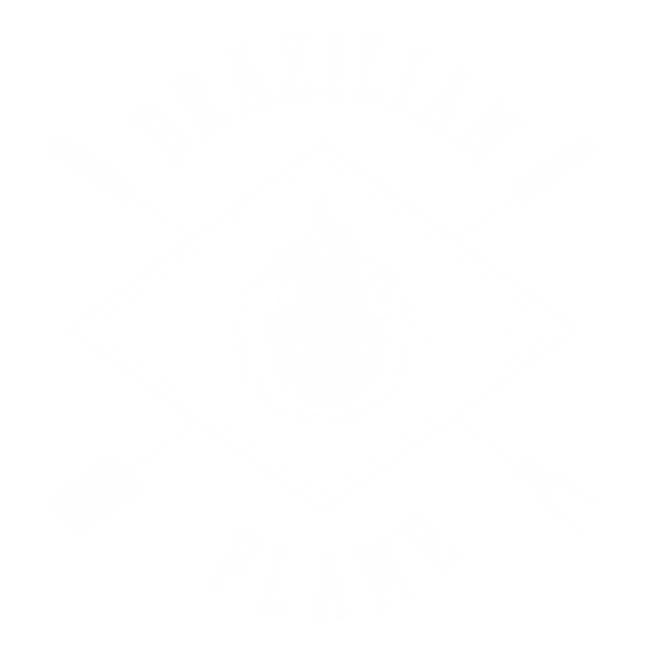 Brazilian Flame BBQ